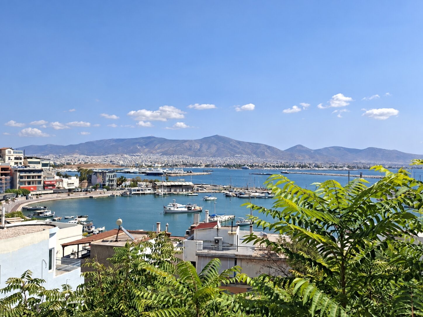 Harbour view framed by greenery